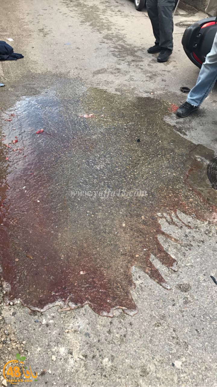 acc yefete 35jq (9).jpg